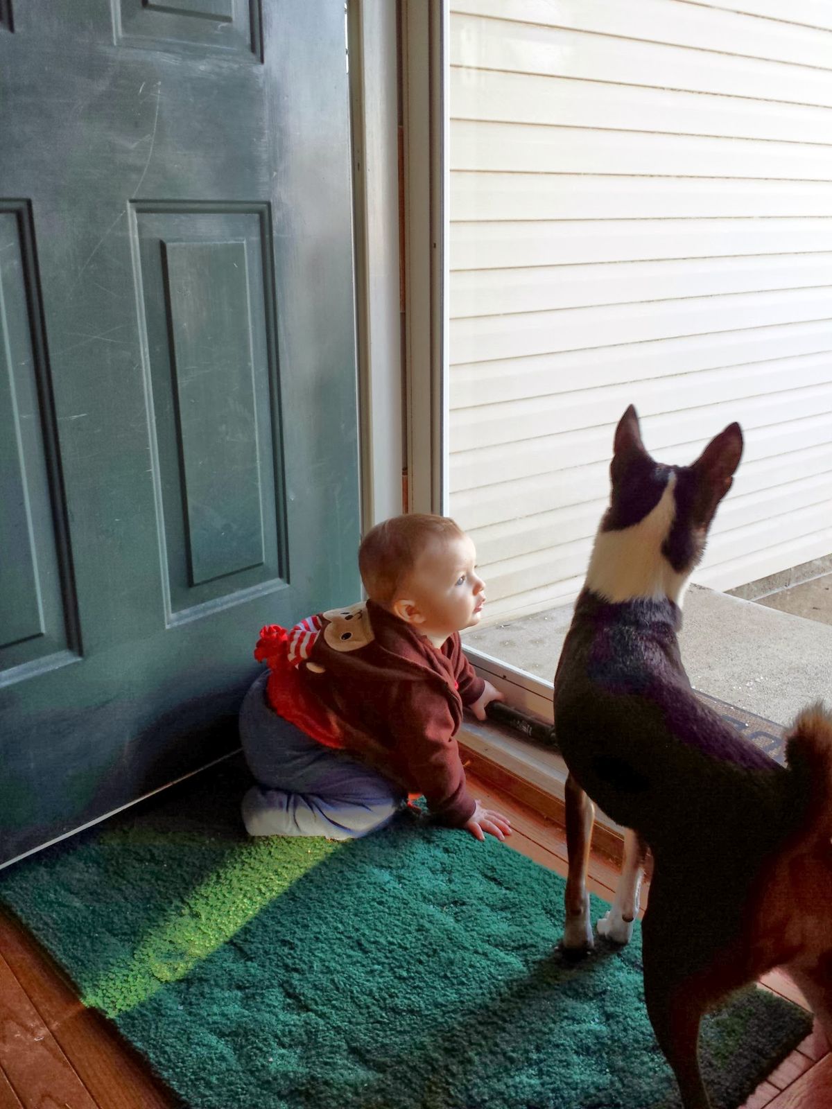 A little one and his faithful pup share a quiet moment at the front door, both completely captivated by whatever''s happening outside -- best friends from the very start.