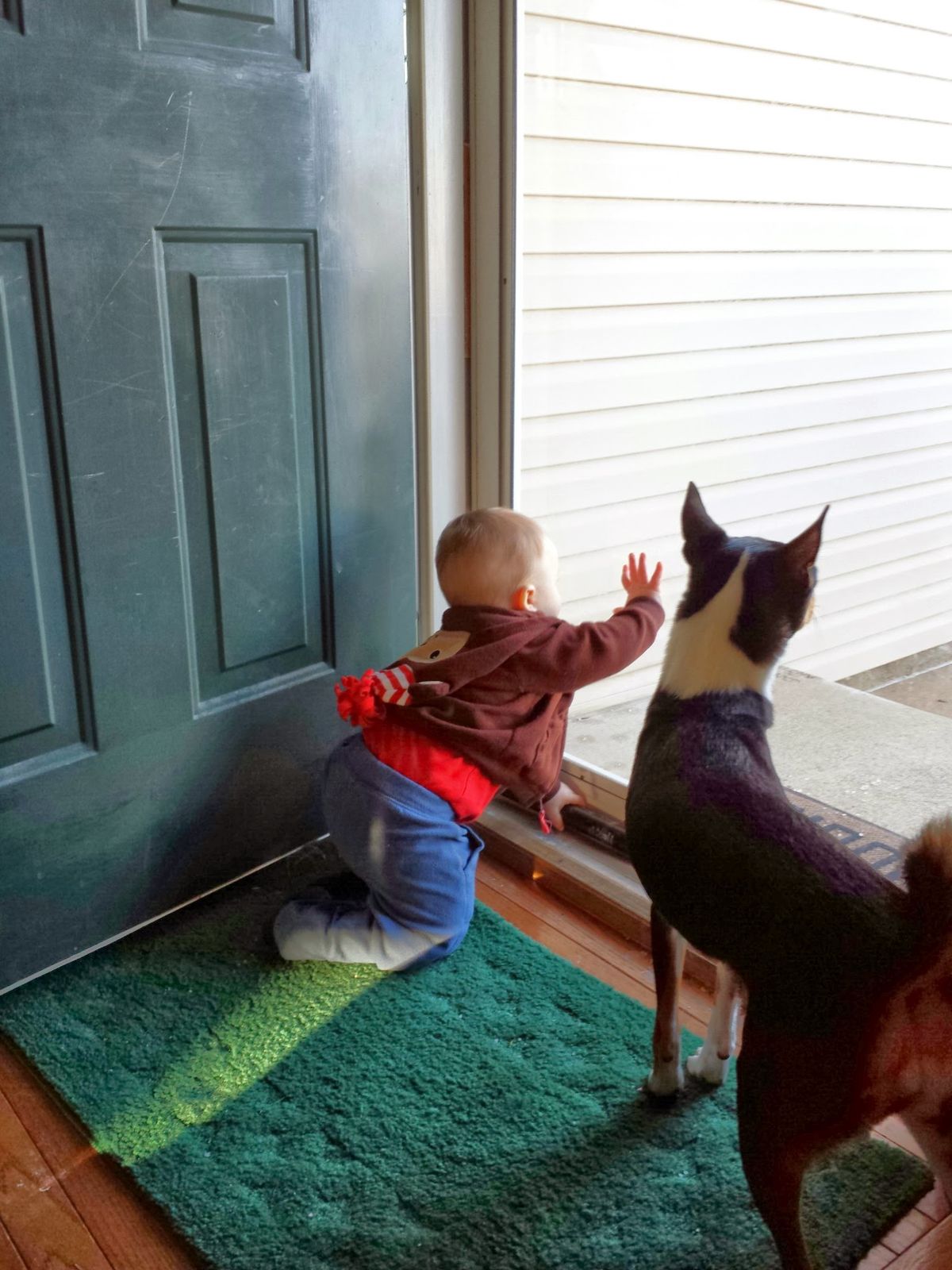 Tiny hands reaching out toward the world while his loyal black-and-white buddy stands watch right beside him -- these two were born to explore together.